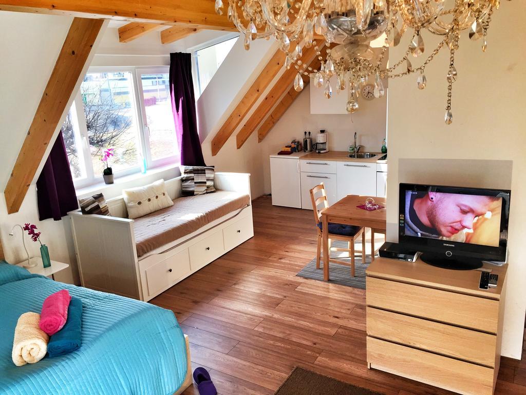 Book-A-Room Salzburg Apartment 5-6-7-8 Room photo